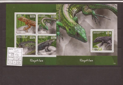 Guyana - 2014 - reptilien foto