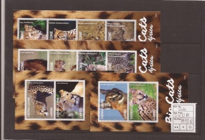 Sierra Leone 2014 - Afrika`s Big Cats complet set foto