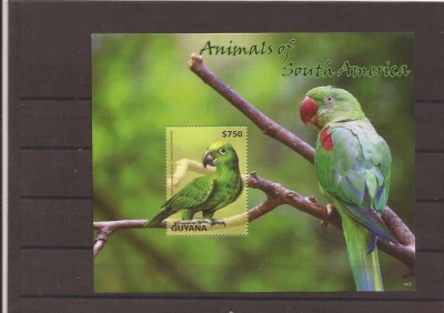 Guyana - 2014 - 3 blocke - Pasari de Guyana foto