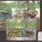 Maldives - reptilien Michel - 4821/4+bl.631