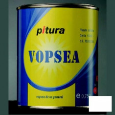 Vopsea lucioasa negru Pitura - 0.75 L foto