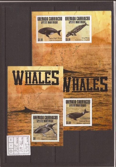 Grenada Carriacou - whales