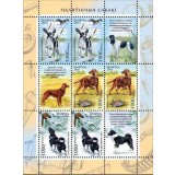 BELARUS 2010 CAINI DE VANATOARE