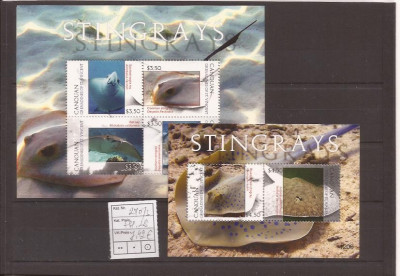 Canouan - Stingrays - 240/3+bl.28 foto