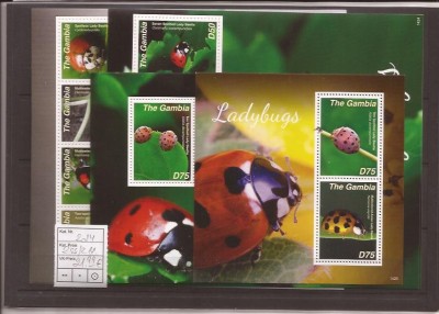 Gambia - 2014 neu - Ladybugs - 2 s/s + 2bl. foto