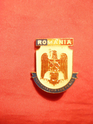 Insigna Militara - Romania Parteneriat pt. Pace , metal si email , h=2,8 cm foto
