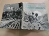The Carpathians/ The rumanian landscape