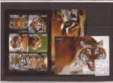 Mayreau - Tiger - 285/90+bl.50