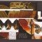 Canouan - Caribbean Fluturi - 195/202+bl.17/18