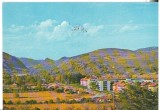 CPI (B6212) CARTE POSTALA - VEDERE DIN LUCACESTI, Circulata, Fotografie