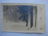 Cumpara ieftin Carte postala circulata in anul 1930 - iarna padure langa Innsbruck Austria, Fotografie