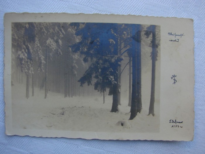 Carte postala circulata in anul 1930 - iarna padure langa Innsbruck Austria