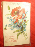 Ilustrata-Felicitare- Flori-Maci si Nu-ma-Uita ,circulat 1910, Circulata, Printata