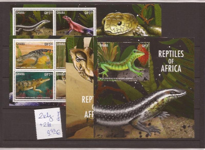 Ghana - African reptilien foto