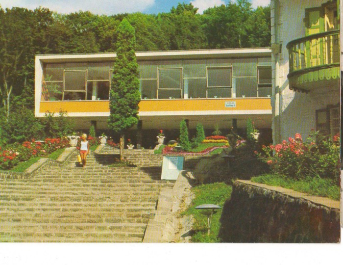 CPI (B6293) CARTE POSTALA - SOVATA. CANTINA NR.5