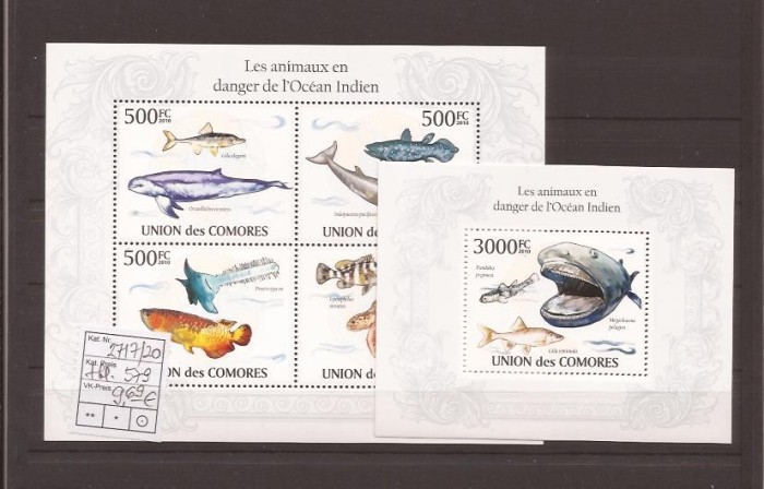 Comores - peste de indian Ocean
