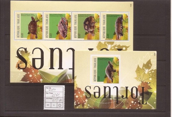 Togo - turtles- 2014 klbg+bl.