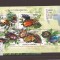 Comores - Insekte - 2965/9+bl.617