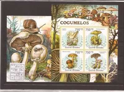 Guinea - Bissau ciuperci - 5651/4+bl.970 foto