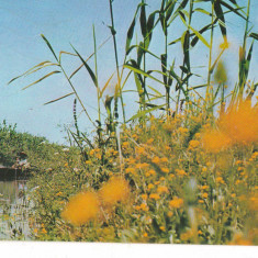 CPI (B6241) CARTE POSTALA - DELTA DUNARII. CANAL LA MILA 23