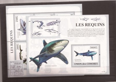 Comores - sharks 2156/61+bl.480 foto
