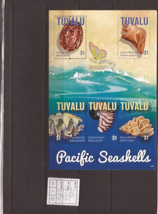 Tuvalu - 2013 seashells - klbg