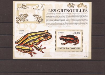 Comores - frogs 2163/8+bl.481 foto
