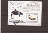 Comores- Whales - 2121/6+bl.475, Africa, Natura