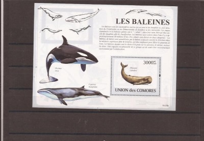 Comores- Whales - 2121/6+bl.475 foto