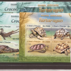 Sao Tome e Principe - turtles si krokodile