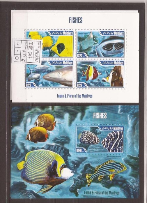 Maledives - peste 4908/11+bl.647