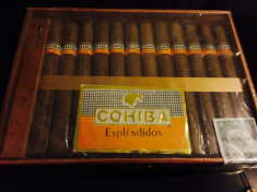 Cohiba Esplendidos 25 foto