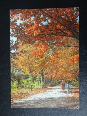 SEPT15 - Vedere/Carte postala- Bucuresti foto