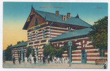 2577 - PUCIOASA, Dambovita, Railway Station - old postcard - unused, Necirculata, Printata