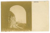 2388 - ANINA, Caras-Severin, Railway tunnel - old postcard, real PHOTO - unused