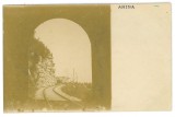 2388 - ANINA, Caras-Severin, Railway tunnel - old postcard, real PHOTO - unused, Necirculata, Fotografie