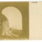 2388 - ANINA, Caras-Severin, Railway tunnel - old postcard, real PHOTO - unused