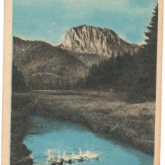 CPI (B6306) CARTE POSTALA - MUNTELE SUHARD. LACUL ROSU, 1959