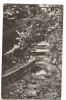 CPI (B6309) CARTE POSTALA - SLANIC MOLDOVA. ALEEA IZVOARELOR, RPR, Circulata, Fotografie