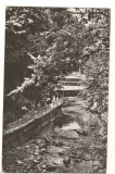 CPI (B6309) CARTE POSTALA - SLANIC MOLDOVA. ALEEA IZVOARELOR, RPR, Circulata, Fotografie
