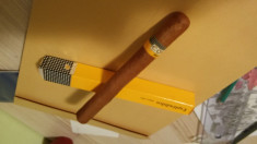 cohiba esplendidos foto