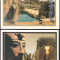 Lot 4 ilustrate EGYPT, necirculate