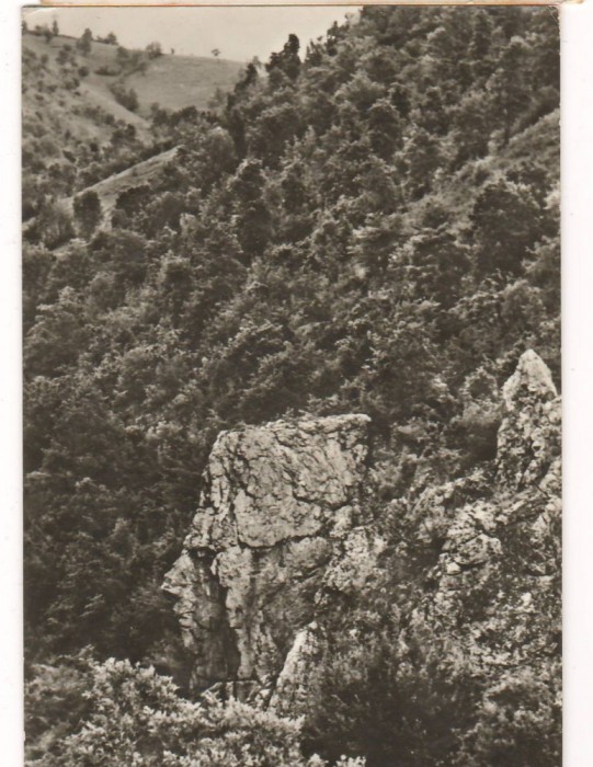 CPI (B6303) CARTE POSTALA - SFINXUL BANATEAN DIN VALEA CERNEI