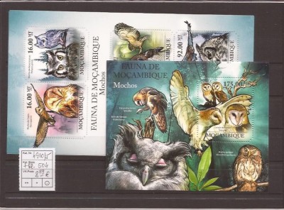 Mozambik - owls - 4910/5+bl.504 foto