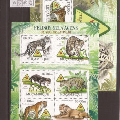 mozambik - Fauna 5303/8+bl.636