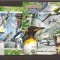 Burundi - Nature Protection 2570/3+bl.238
