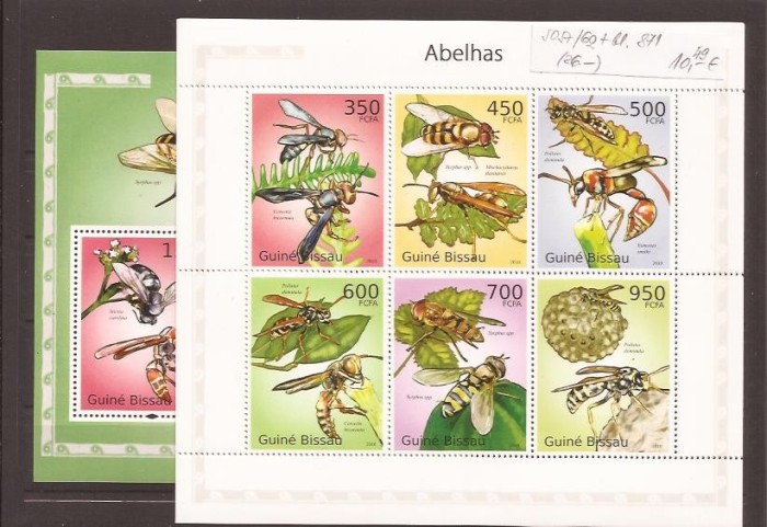 Guinea - Bissau - Insekte