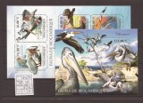 Mozambik - pelicans 4875/80+bl.499