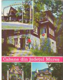 CPI (B6387) CABANE DIN JUDETUL MURES: SALCAMUL SOIMILOR, STEJARUL, GALAOAIA