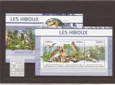Guinea - owls - pasari 9729/31+bl.2207 foto